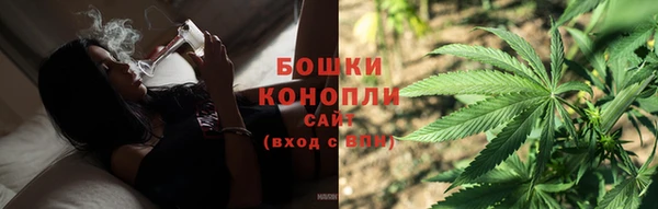 шишки Дмитриев