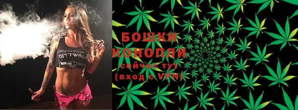 ешки Гусь-Хрустальный