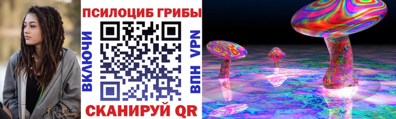 kraken ССЫЛКА  Гдов  Галлюциногенные грибы Cubensis  закладка 