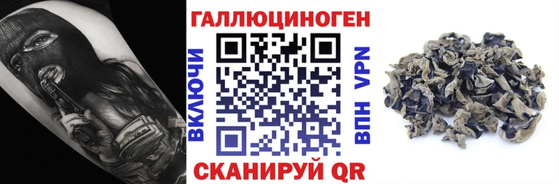 Псилоцибиновые грибы Cubensis Гдов